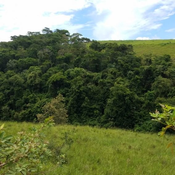 Terreno em Paty do Alferes com 17.000m²