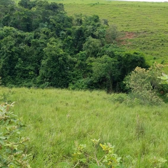 Terreno em Paty do Alferes com 17.000m²