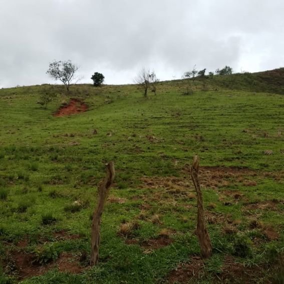 Terreno em Paty do Alferes com 17.000m²