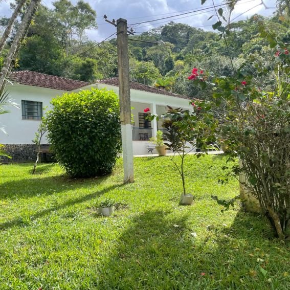 Jardim