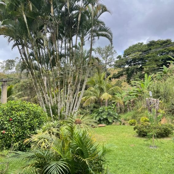 Jardim3