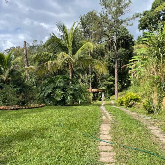 Entrada